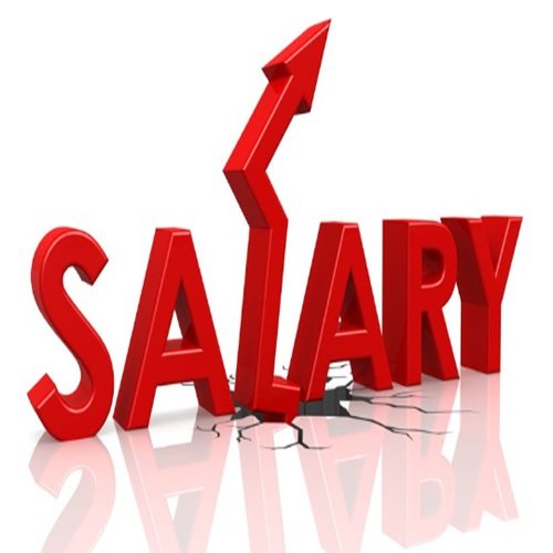 Salary stagnation or increase in 2025?